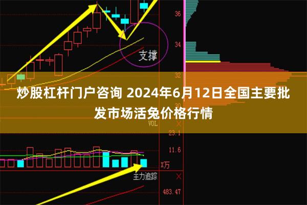 炒股杠杆门户咨询 2024年6月12日全国主要批发市场活兔价格行情